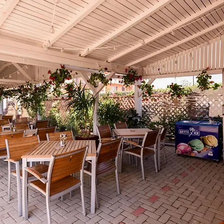 Guest house Vilele Violeta